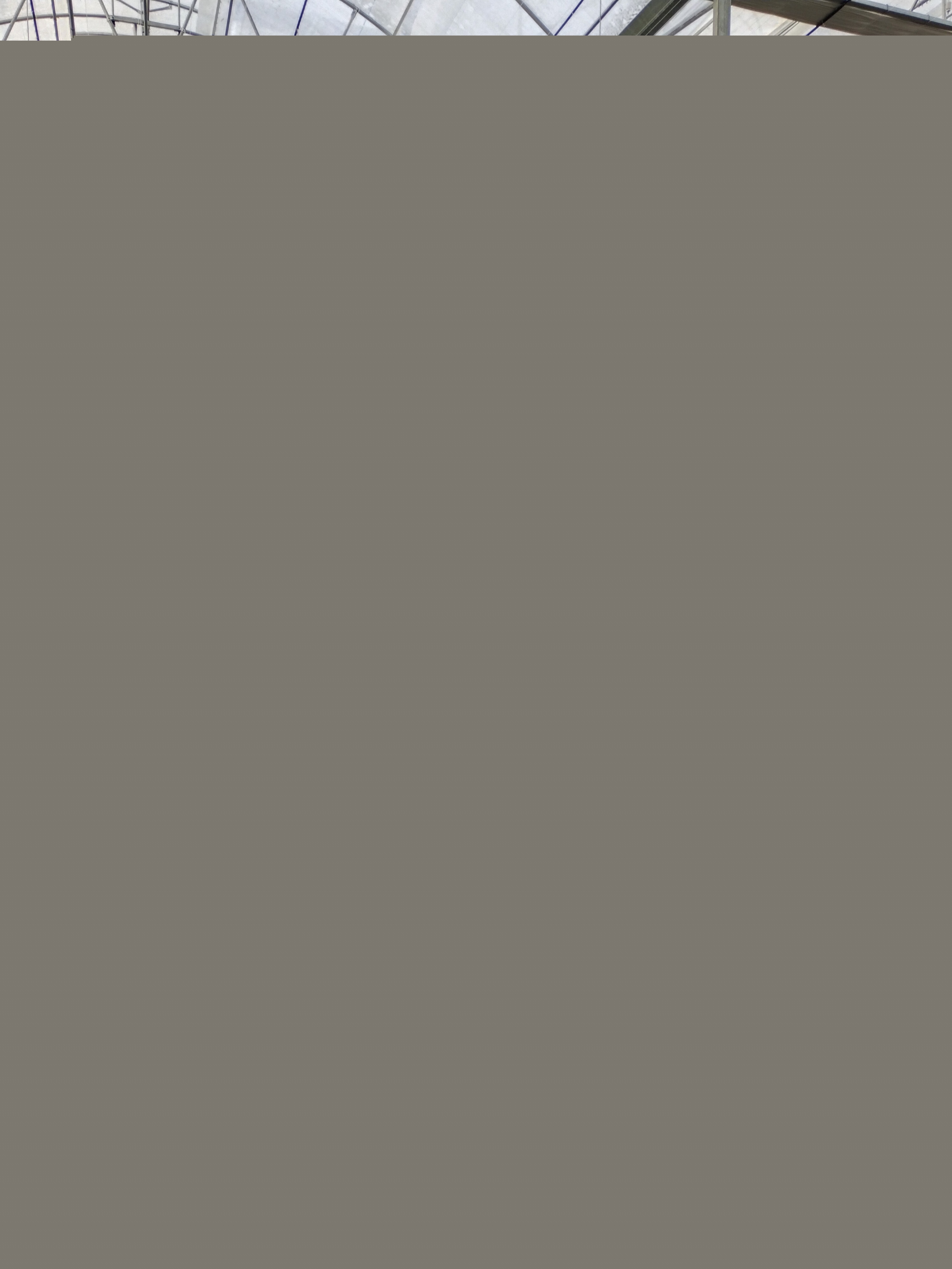 1651917382547.jpg